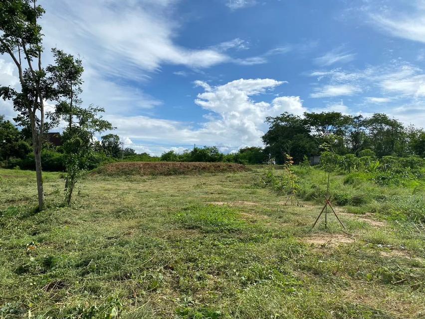 ที่ดินโฉนด 4ไร่ เมืองเพชรบูรณ์ 3