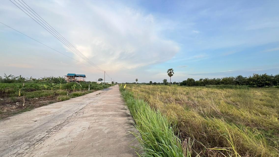 ขายที่ดินเงินผ่อน 2 ปี ไม่มีดอกเบี้ยตำบล หนองสามวัง อำเภอ หนองเสือ ปทุมธานี 20