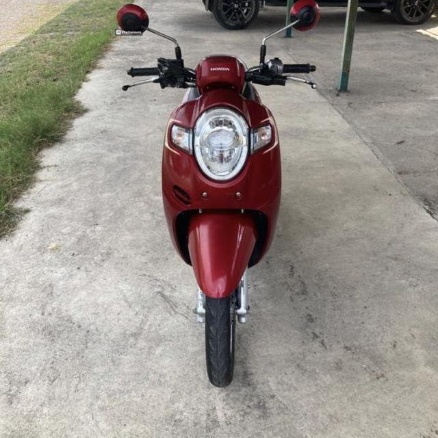 Honda scoopy สีแดง 3