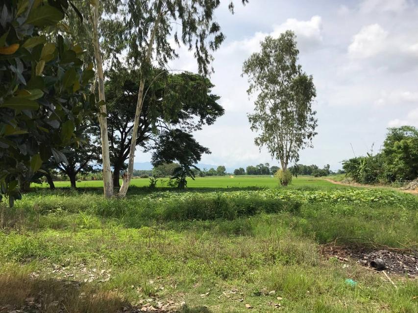 ทาวน์เฮ้าส์เชียงราย 3 ชั้นครึ่ง 2 คูหา ตีทะลุถึงกัน 62 ตร.วา ติดถนนศรีเวียง อำเภอเวียงชัย เชียงราย 8