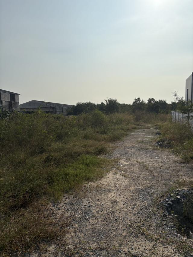 ขายที่ดินถนนเพชรเกษม เมืองนครปฐม 2