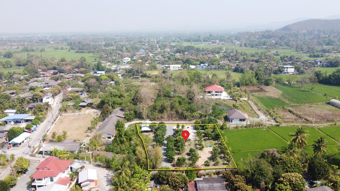  ที่ดินสวนลำไย 1-1-25 ไร่ วิวภูเขา ติดถนนคอนกรีต 2 ด้าน