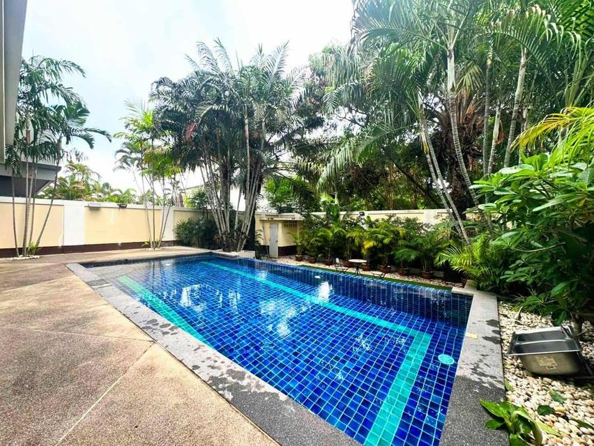 For rent villa style modern Jomtien can do business dairy  3