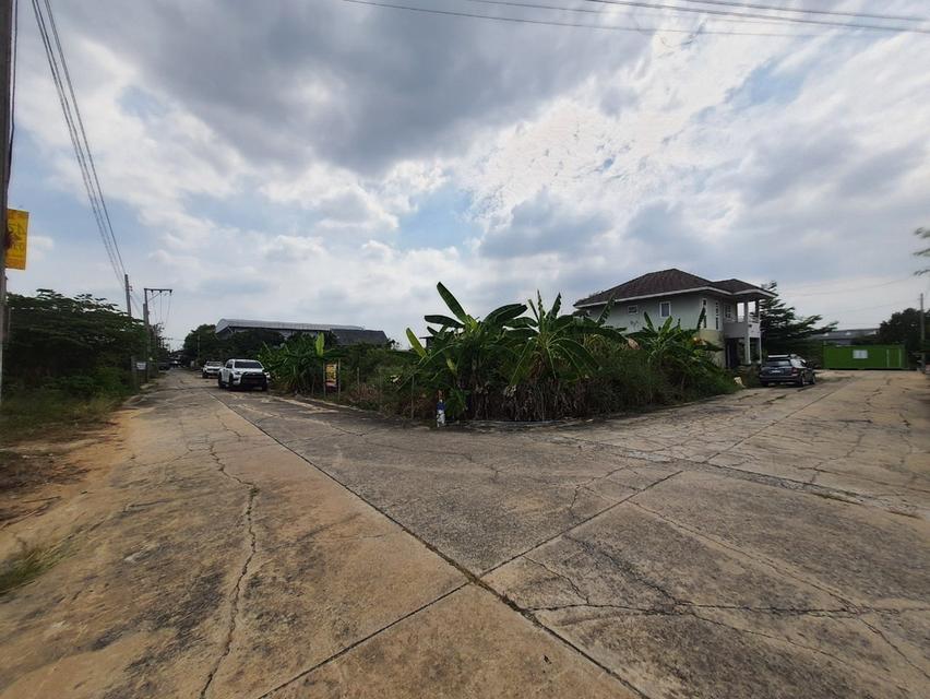 ที่ดิน 5