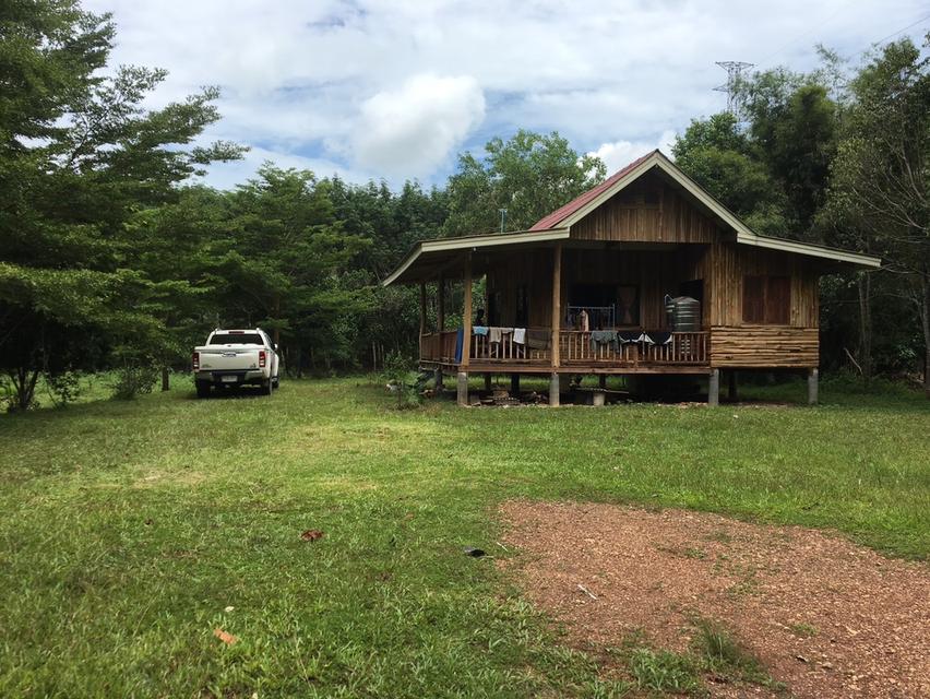 ขายที่ดินจังหวัดระยอง 7