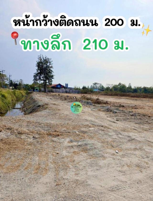 ขายที่ดิน 19 ไร่ ต.หนองหงษ์-พานทอง-ชลบุรี 4