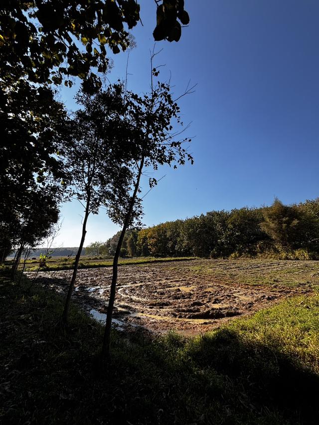 ที่ดินสวนเกษตร โฉนดครุฑแดงขนาด 11 ไร่  2 งาน 56 ตารางวา พร้อมโอน เจ้าของขายเอง 7