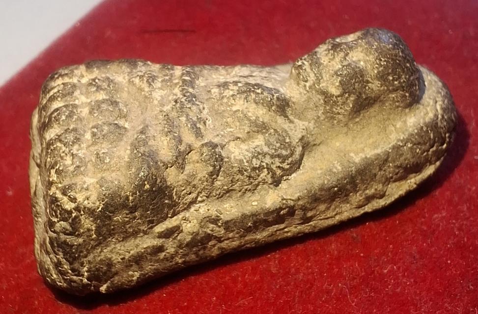 หลวงปู่ทวด เนื้อว่าน พิมพ์พระรอด ปี2497 รูปที่ 10