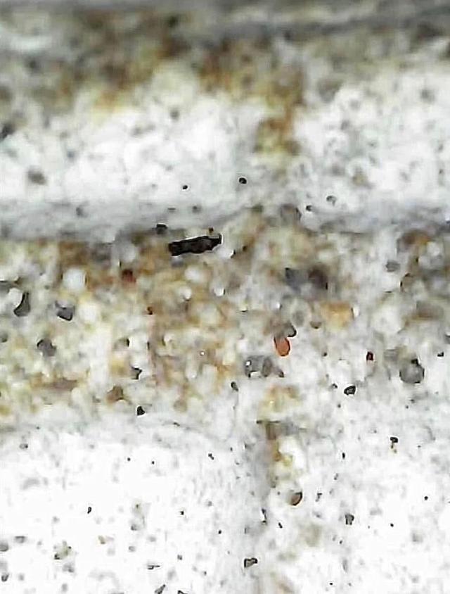 พระสมเด็จวัดระฆังพิมพ์ใหญ่เกศทะลุซุ้ม 18