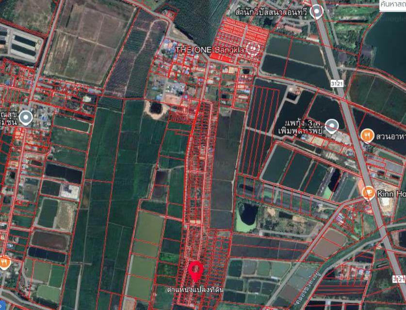 ขายที่ดินจัดสรร 72 ตรว. ใกล้สี่แยกบางคล้า ต.เสม็ดเหนือ จ.ฉะเชิงเทรา 2