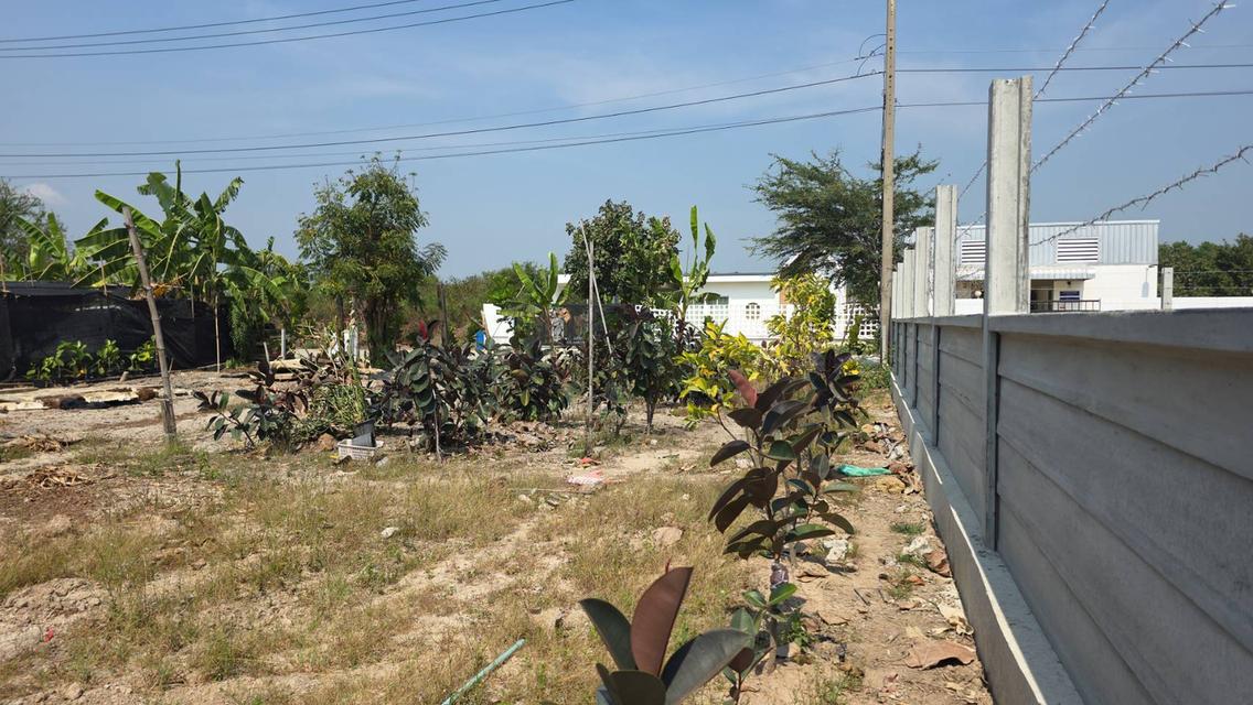 ด่วน ประกาศขายที่ดินเปล่าทำเลดี (ถมแล้ว) ราคาถูก 128 ตารางวา โฉนดที่ดินเลขที่ 45082 ตำบล บางเลน อำเภอ บางเลน จังหวัด นครปฐม 10