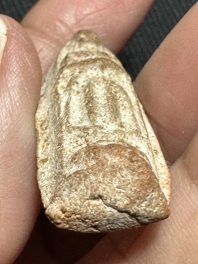 พระผงปางอุ้มบาตร วัดโพธิ์งาม จ.ชัยนาท ผงหลวงปู่ศุข หลวงพ่อกวย หลวงพ่อฤาษีลิงดำ ปลุกเสก รูปที่ 5