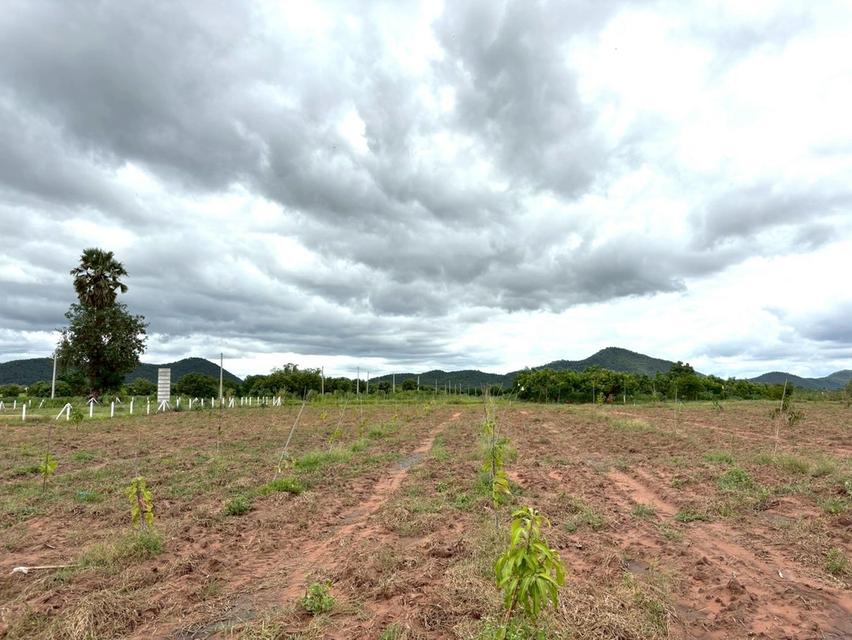 ที่ดิน ท่าม่วง จ. กาญจนบุรี ผ่อนได้ 15