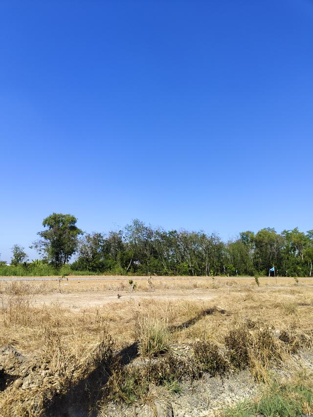 ขายที่ดินสวยหนองจอก กทม ถมแล้วมีน้ำมีไฟฟ้า ตัดแปลงเริ่มต้น 100 ตรว 4