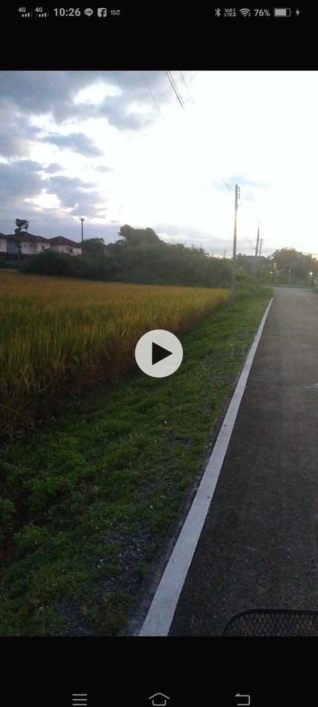 ให้เช่า ที่ดินเชียงใหม่ 4