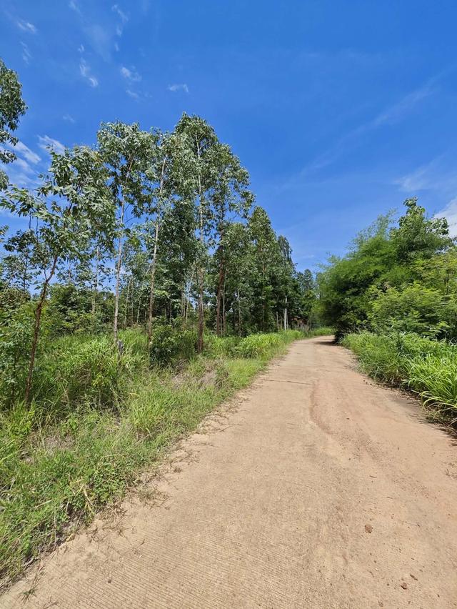 ที่ดินว่างเปล่าใกล้ ม.ขอนแก่น 7