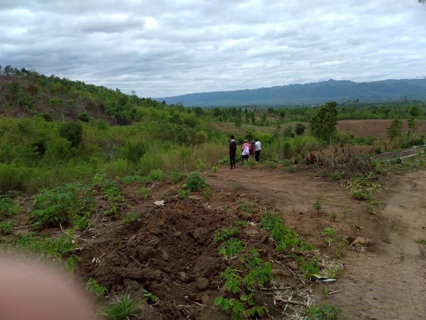 ที่ดินทำการเกษตร เหมาะทำรีสอร์ท บ้านพักตากอากาศ 3