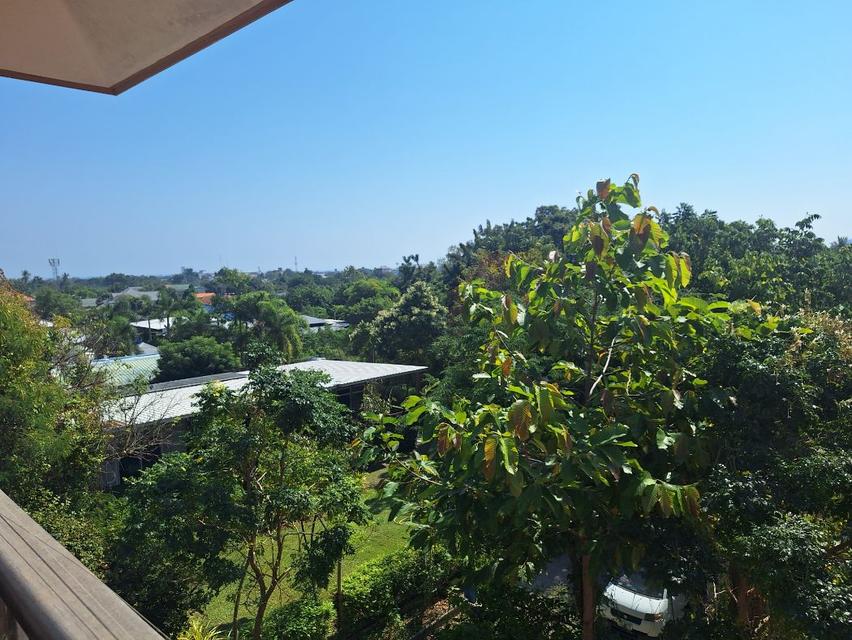 ขาย บ้านเดี่ยว หัวหิน 400 ตรม 100 ตรว ร่มรื่น เป็นส่วนตัว 3