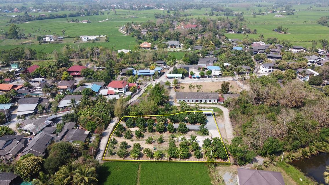  ที่ดินสวนลำไย 1-1-25 ไร่ วิวภูเขา ติดถนนคอนกรีต 2 ด้าน 5