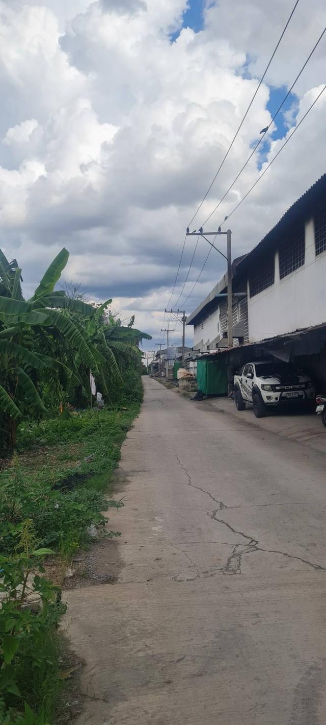 ขายที่ดิน บางเลน 1 ไร่ 2 งาน 97 ตรว  ตรว.ละ 3,500 บาท  เข้าทางซอยประมาณ 150 เมตร ที่ดินอยู่ทางขวามือ ติดต่อ 095-7897915 3