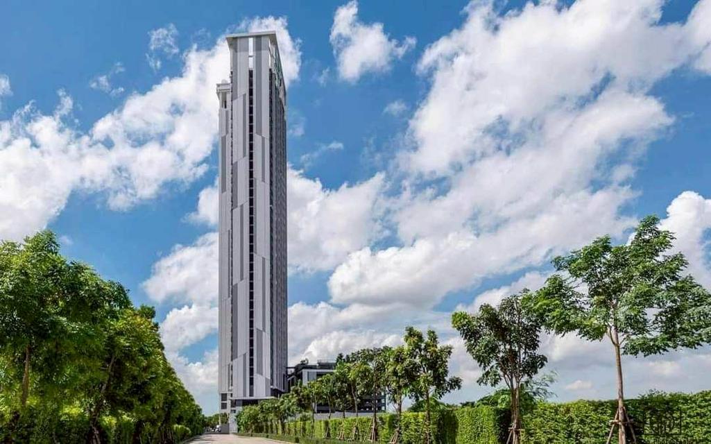 ปล่อยเช่า นิชโมโน เมกะ สเปช บางนา 18