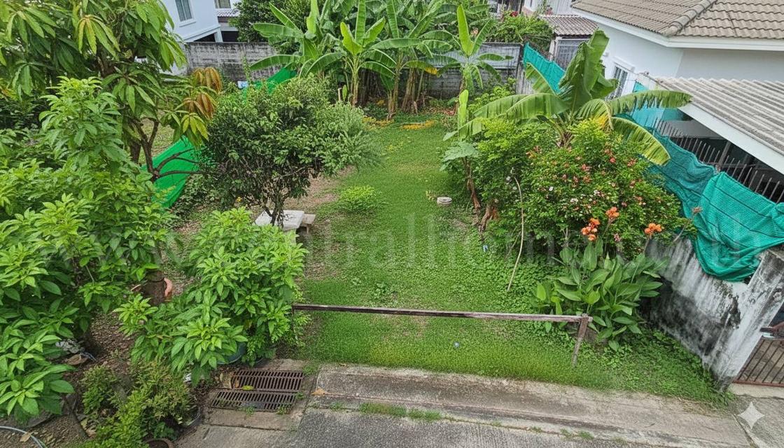 ที่ดินเปล่า 59.5 ตร.วา ถมแล้ว สุขุมวิท 97/1 ใกล้ BTS บางจาก ราคาถูกมาก 2
