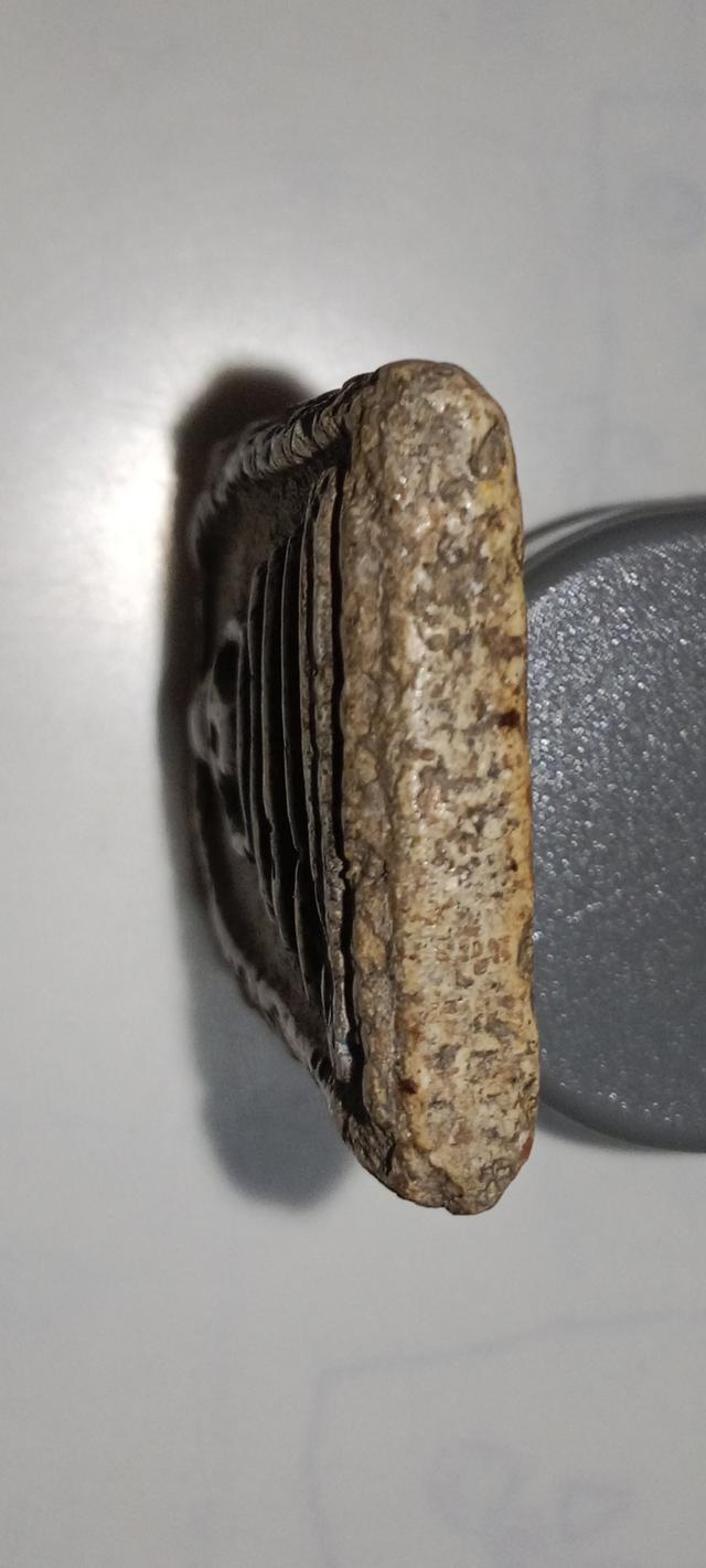 สมเด็จวัดระฆังพิมพ์ใหญ่ 6