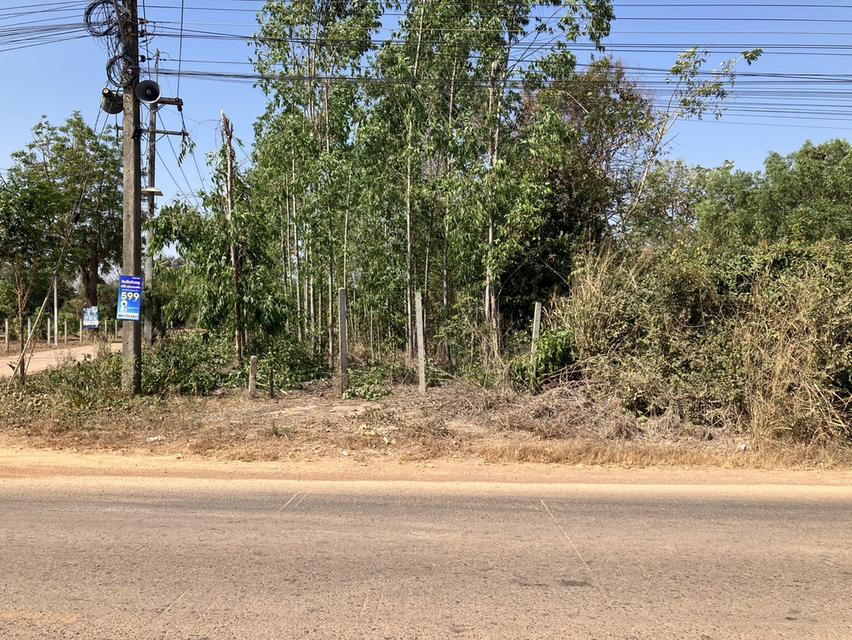 ขายที่ดินกบินทร์บุรีทำเลดีเนื้อที่ 1 ไร่ ซอยวัดคชรัตน์ ใกล้ถนนสี่เลน304เพียง500เมตร จ.ปราจีนบุรี 3