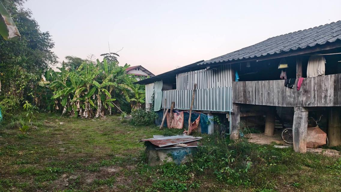 ที่ดินพร้อมสิ่งปลูกสร้าง 3