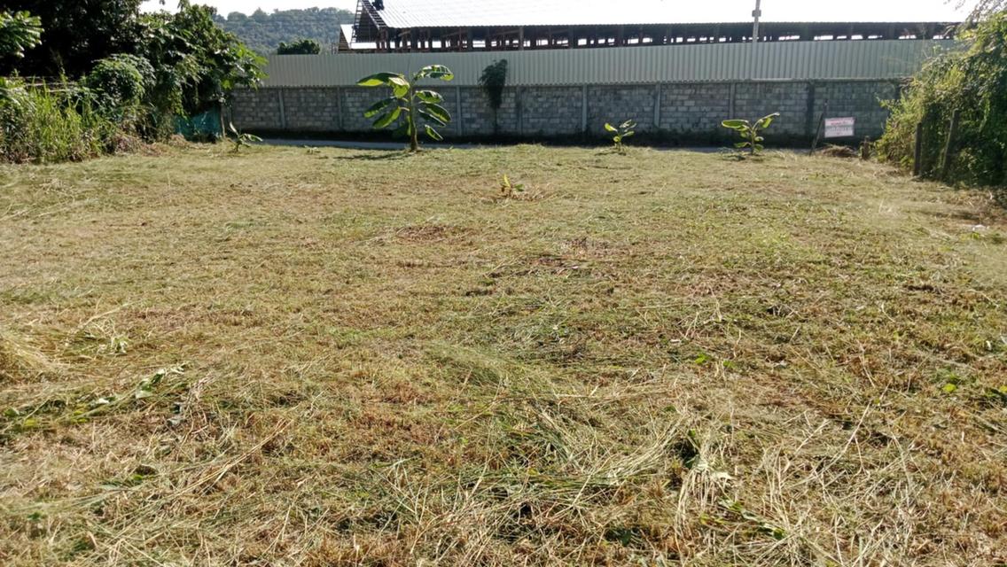 📣 โอกาสทอง! ที่ดินเกือบ 2งาน 270,000บาท ทำเลดี อ.เมืองลำพูน ราคาสุดคุ้ม! 🏡✨ 5