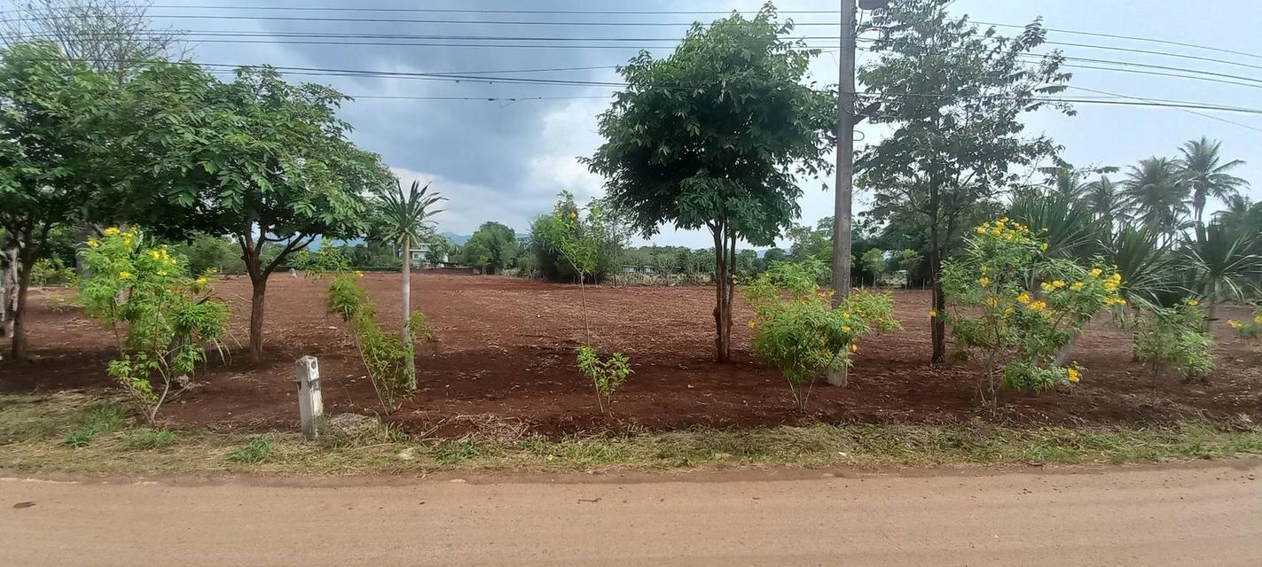 ขายที่ดินเขาใหญ่ 3-6 ไร่ ตำบล หมูสี แปลงสวย ติดถนน 3