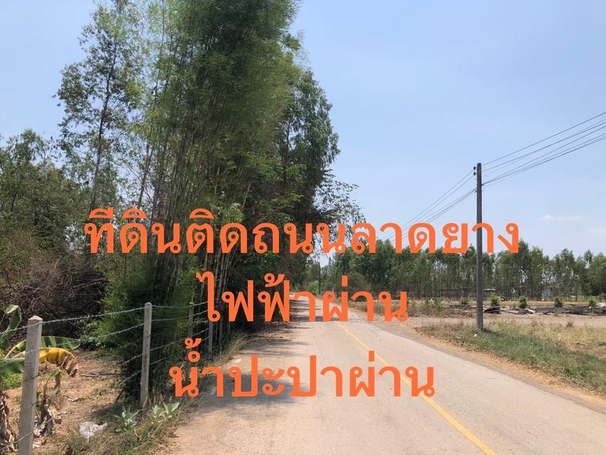 ขายที่ดิน เนื้อที่ 15-2-43 ไร่ (ครุฑแดง) 3