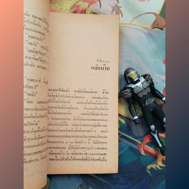 จำพราก Namiko : Kenjiro Tokutomi (นิยาย) 7