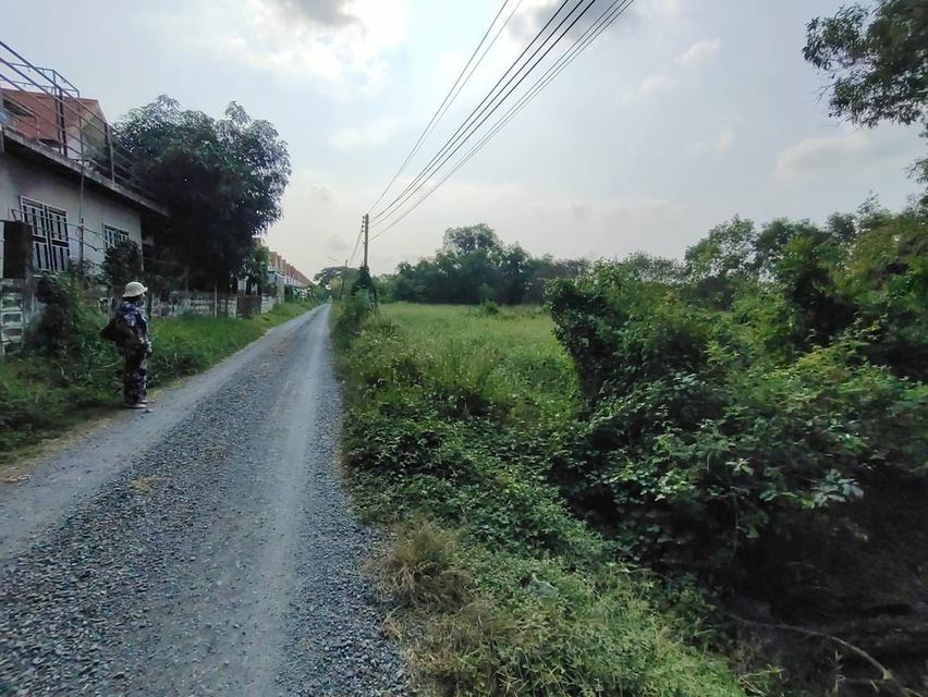 ที่ดิน1ไร่คลองห้าชอยคลองห้าตะวันออก9 4