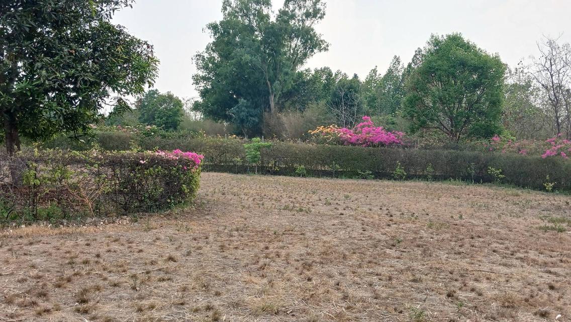 ที่ดิน จังหวัดเชียงใหม่ อำเภอแม่ออน 4
