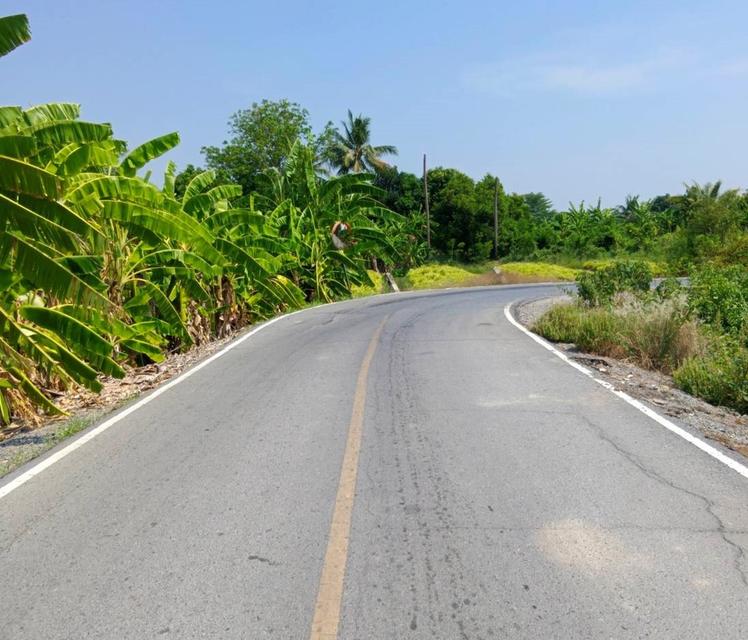 ขายที่ดิน 3 ไร่ 3 งาน 92 ตารางวา ซ.สันติธรรม 2 บางใหญ่ นนทบุรี 4