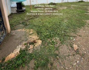 พื้นที่ดิน ขายที่ดินเปล่าถมแล้ว และมีรั้วรอบแล้ว ซ.สาธุประดิษฐ์ 28 (ใกล้ ร.ร.สารสาสาสน์พิทยา) 165 ตร.ว., ราคา 33 ล้านบาท 5