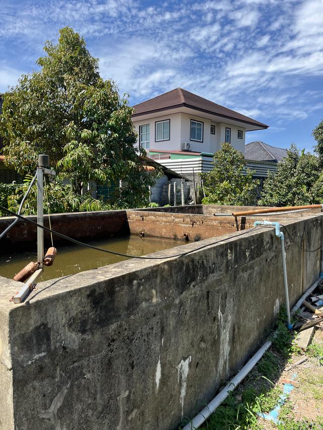 ขายที่ดินสวยเขตชุมชน 10