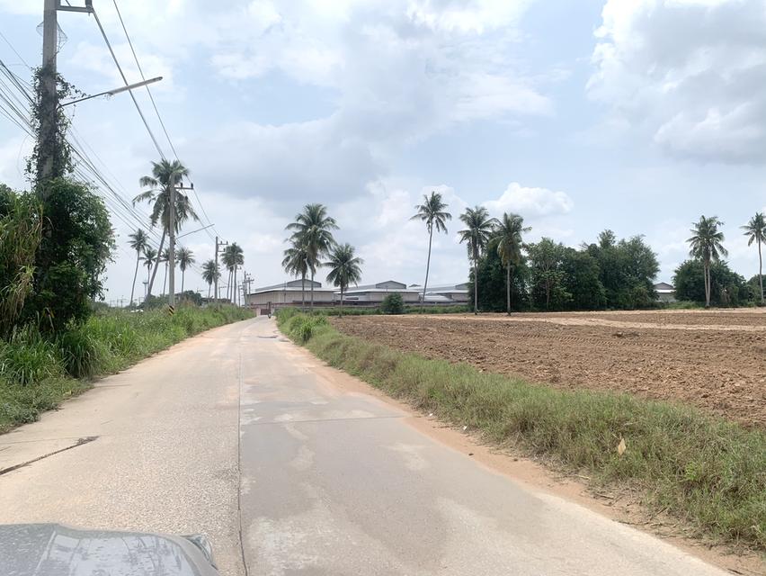 ขายที่ดินบ่อวิน เนื้อที่ 16-0-92ไร่ด้านหลังติดคลองพันเสด็จ ที่ดินเหมาะพัฒนาอุตสาหกรรม,ที่พักอาศัย ที่ตั้งตำบลบ่อวิน 1