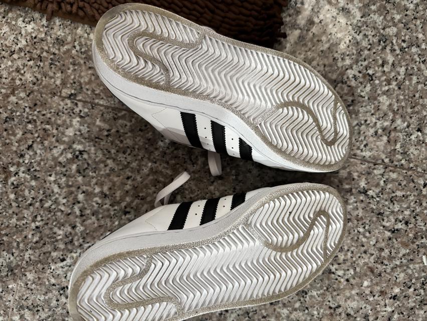 รองเท้า adidas superstar