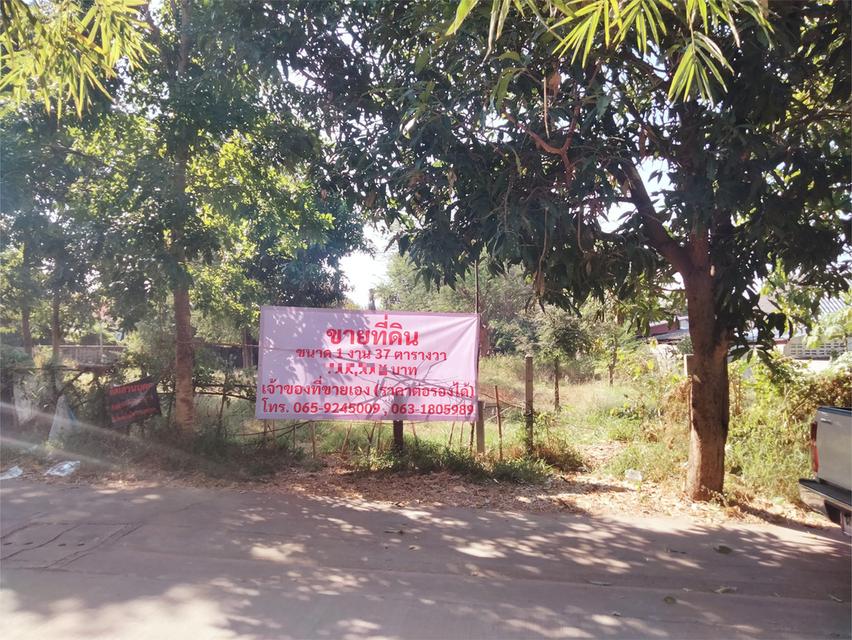 ที่ดิน ในซอยตรงข้ามโรงงานไทยน้ำทิพย์ ท่าพระ ขอนแก่น 8