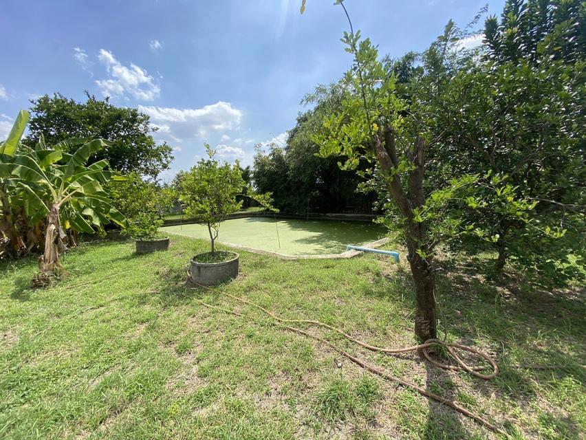 🏗🏢 ขายที่ดินพร้อมสิ่งปลูกสร้าง 2ไร่ 18ตร.วา ติดถนนใหญ่ (ปิ่นเกล้า-นครชัยศรี) 15