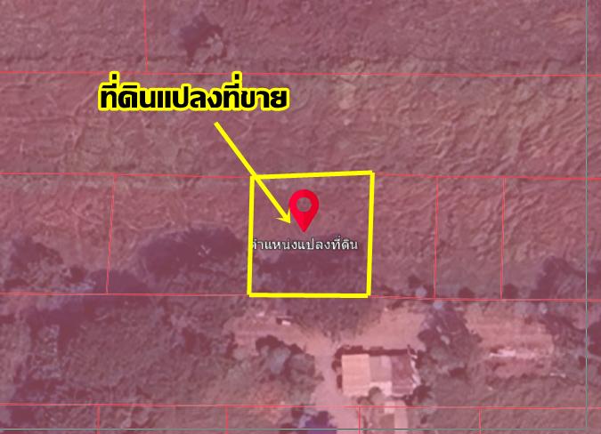 ขายที่ดินเปล่า เลียบคลองแอน6-7(คลอง6) ใกล้วัดปัญญานันทาราม 6