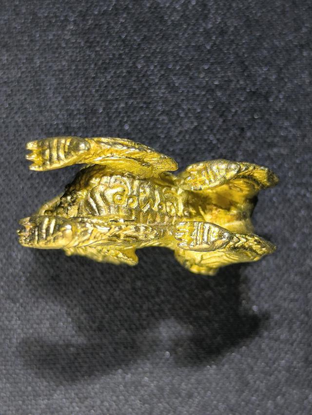 สิงห์เมตตามหาบารมี หลวงพ่อพูล วัดไผ่ล้อม รูปที่ 5