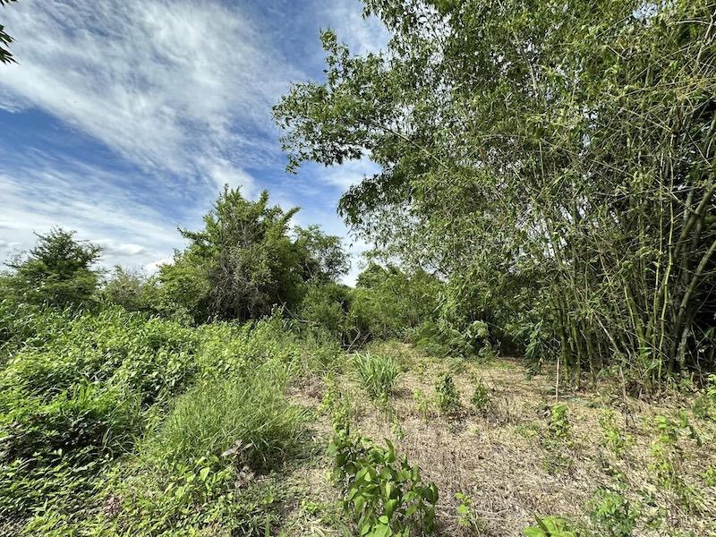 ขายที่ดินติดถนนคลองส่งน้ำเนื้อที่ 6-3-8ไร่พร้อมสิ่งปลูกสร้าง ในเมืองโคราช หน้ากว้าง 60 เมตร 4