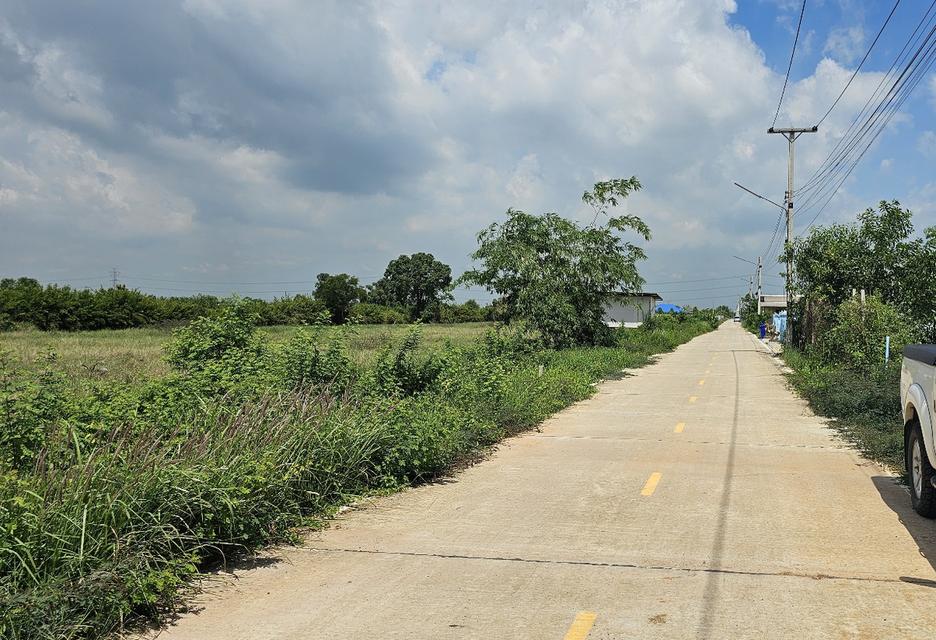 ที่ดิน 1 ไร่ ใกล้กรุง ตลาด อำเภอ โรงพยาบาล 3