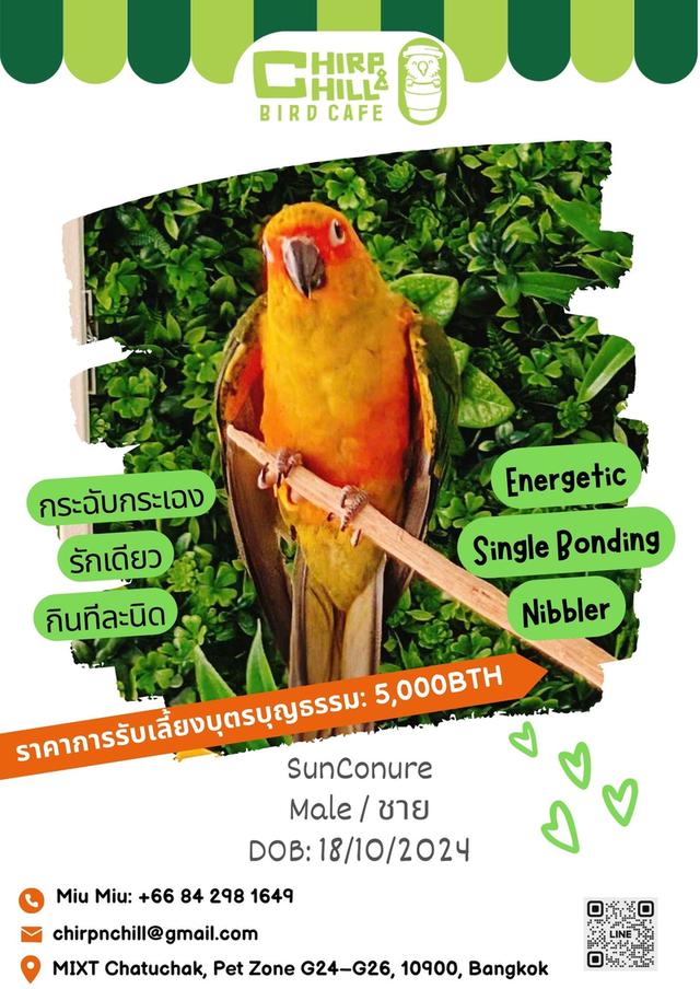 Chirp and Chill Bird Cafe