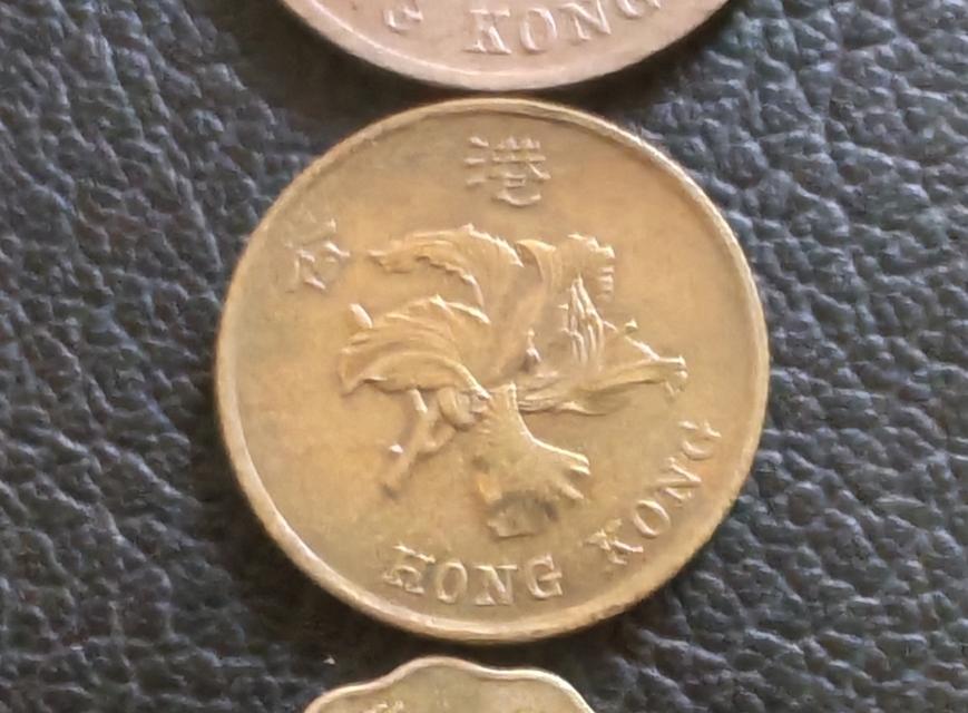 เหรียญ​ฮ่องกง​ปี1998, 4เหรียญ, 1ดอลลาร์, 50,20,10​เซนต์​ รูปที่ 8