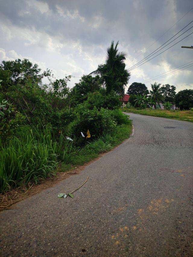 ขายที่ดินผืนงาม 22 ไร่เศษ ติดถนนใหญ่ โซนสีเหลือง อ.แปลงยาว ฉะเชิงเทรา (เขต EEC) – เหมาะแก่การลงทุน ท 14