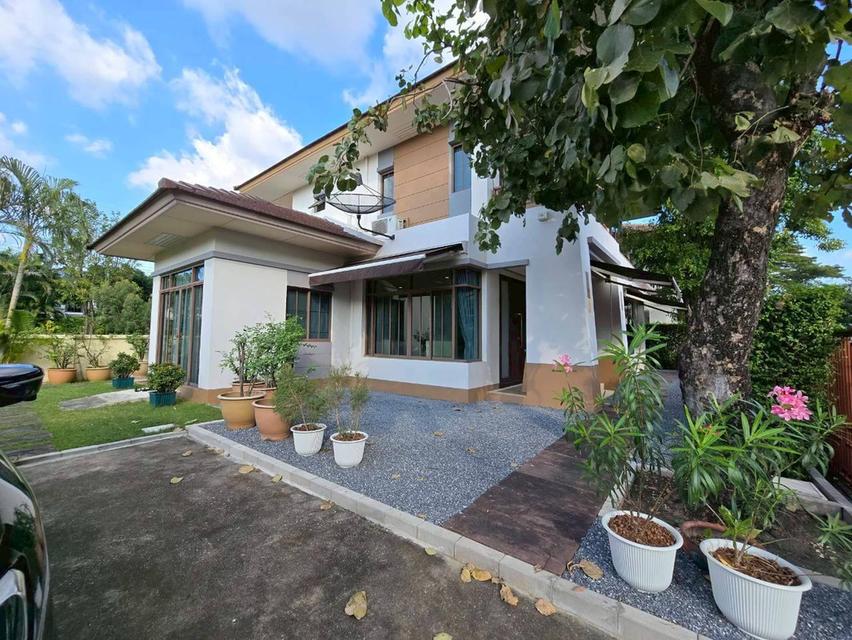 ให้เช่าบ้านเดี่ยวหลังใหญ่100ตรวติดรั้วเมกะบางนา250ตร.ม4นอน3น้ำตกแต่งสวยแอร์เฟอร์ครบเช่า65000บาท/เดือนซอยราชวินิตบางแก้ว 1